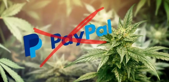 Hanfsamen Paypal kaufen