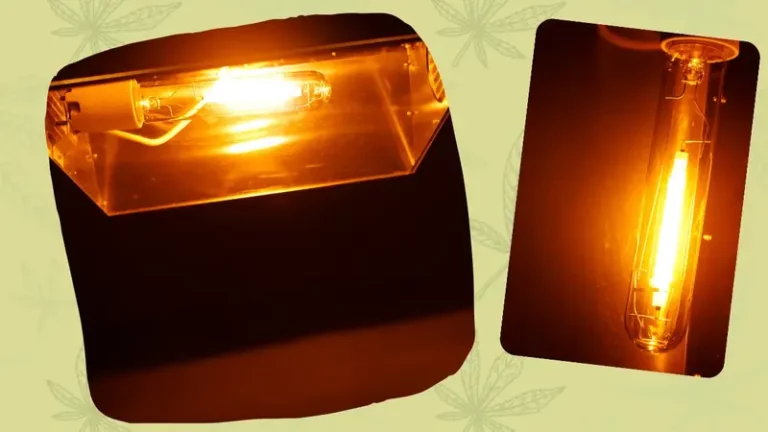 HPS Grow Lampe