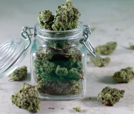 Cannabis Curing im Einmachglas aushärten