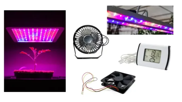 Growbox Beleuchtung Lüftung